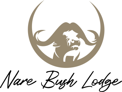 Nare Bush Lodge | Mjejane Private Game Reserve